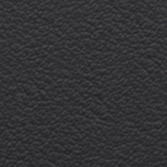 Partial leather interior Black