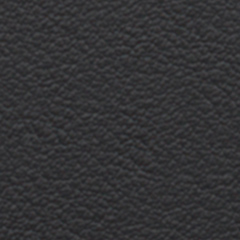 Standard Interior in Black