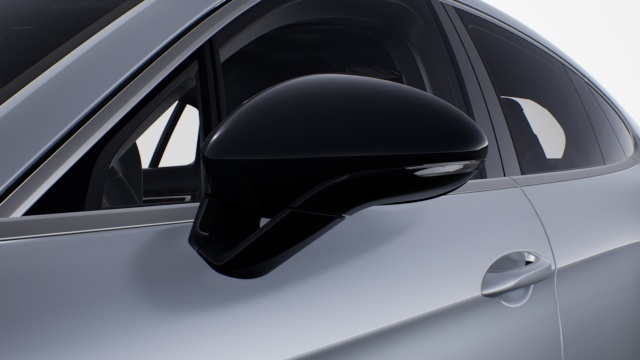 Exterior mirrors painted in Black (high-gloss)