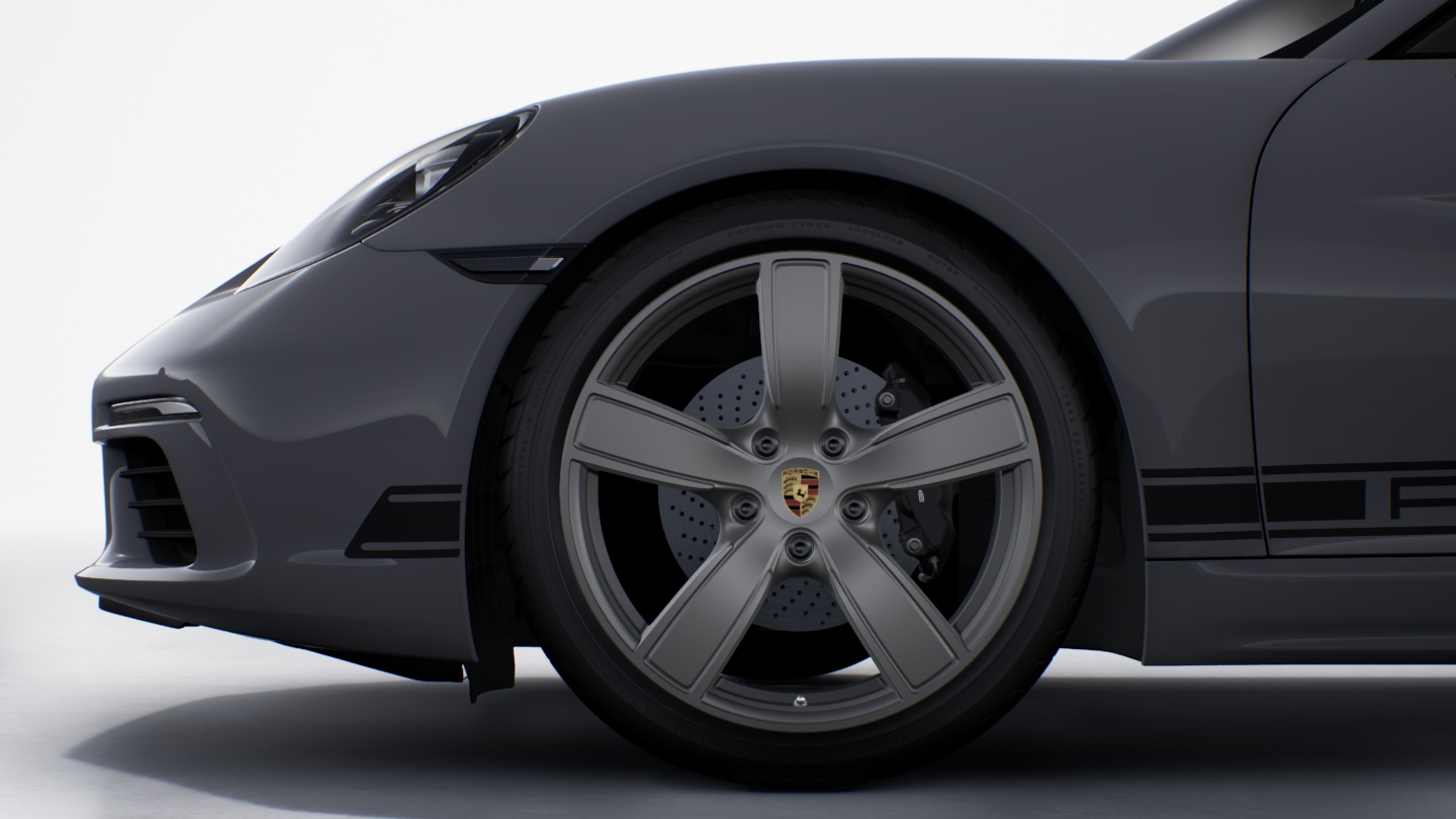 Wheels painted in Satin Platinum