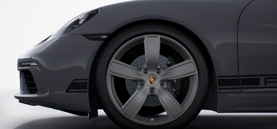 Wheels painted in Satin Platinum