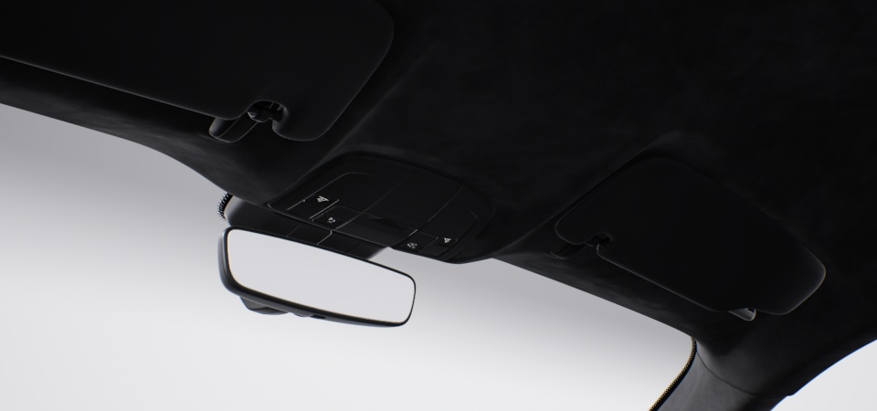 Roof lining in Race-Tex