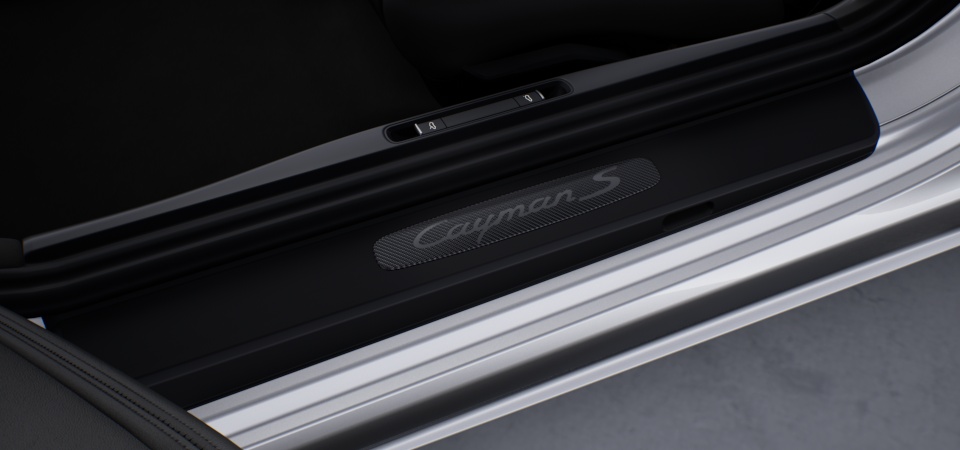 Door sill guards carbon