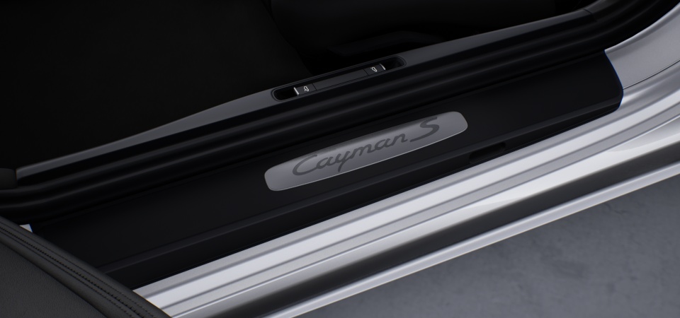 Door sill guards stainless steel