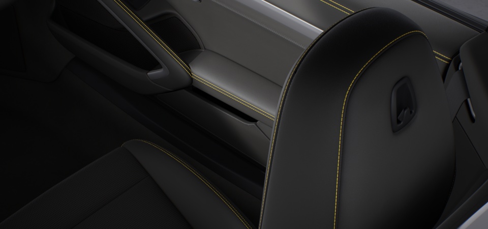 Sports Seat Plus backrests leather with decorative stitching in deviating colour