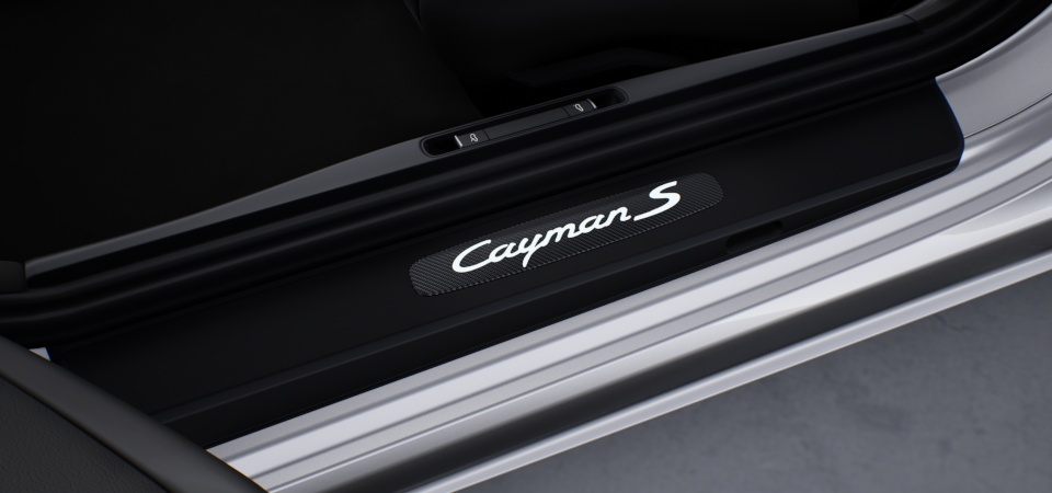 Door sill guards carbon, illuminated