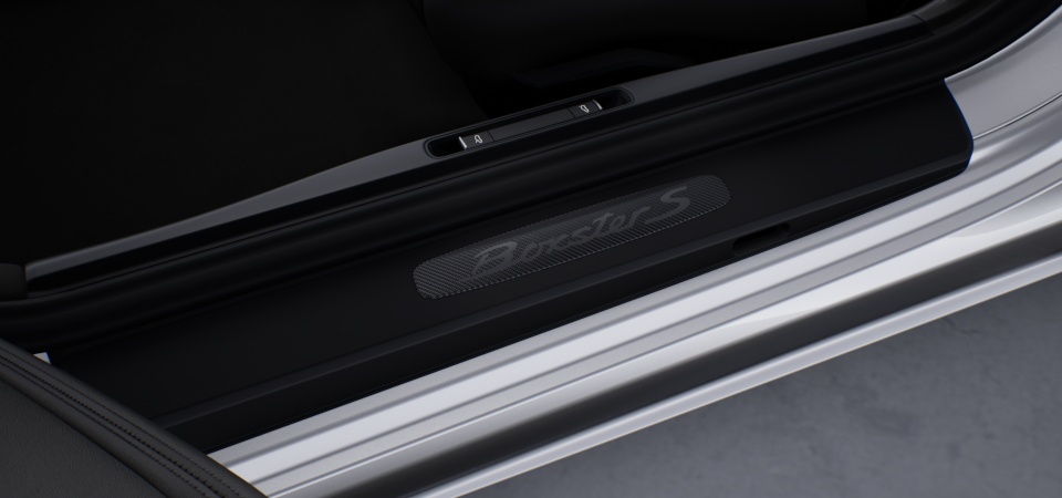 Door sill guards carbon
