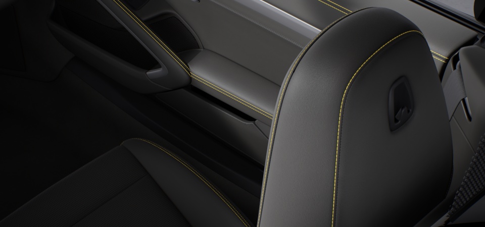 Sports Seat Plus backrests leather with decorative stitching in deviating colour
