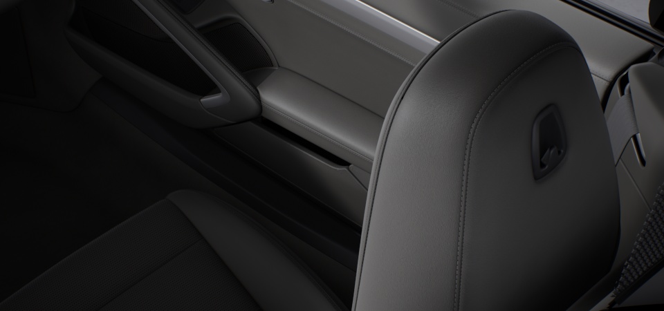 Sports Seat Plus backrests leather