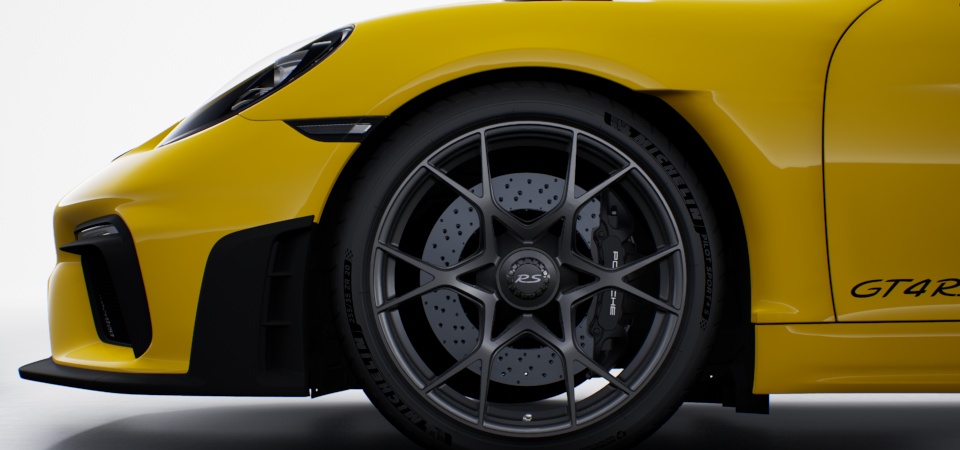 Brake calipers painted in Black (high-gloss)