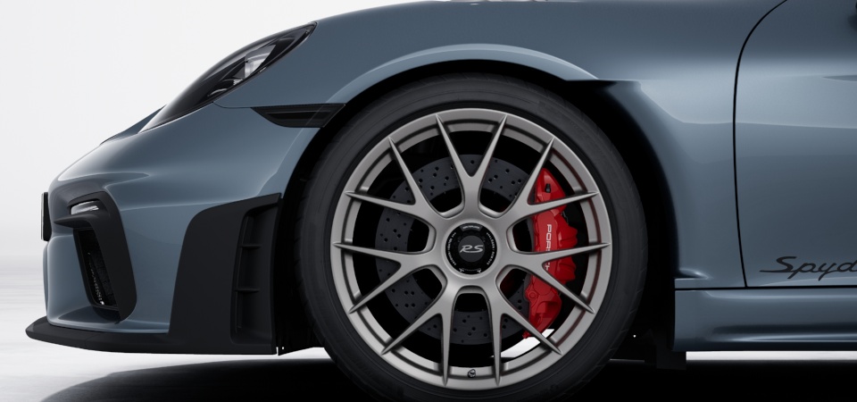 Wheels painted in Satin White Gold Metallic