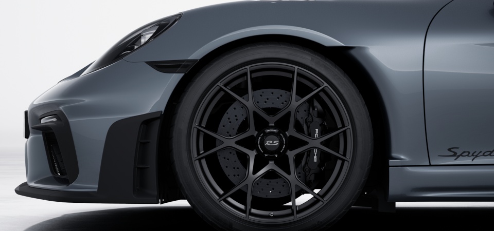 Brake calipers painted in Black (high-gloss)