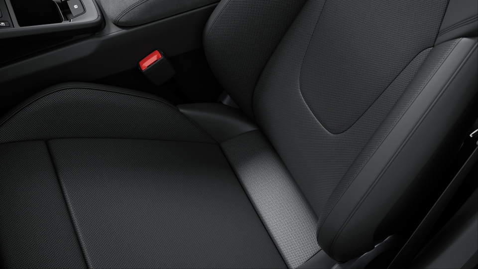 Race-Tex interior package with extensive items in leather, seat centres leather