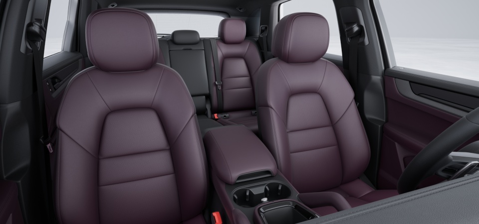 Leather interior in two-tone combination, smooth-finish leather Black and Bramble