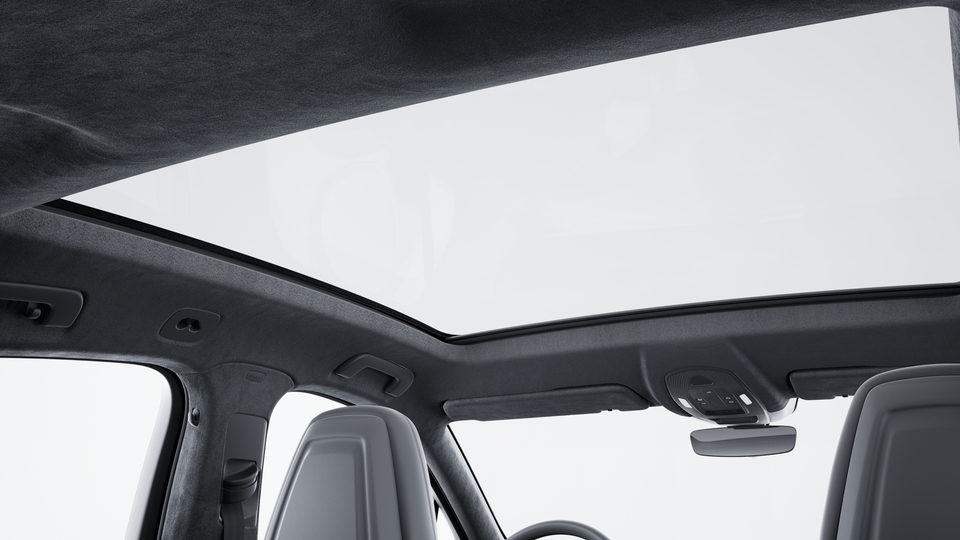 Roof lining in Race-Tex