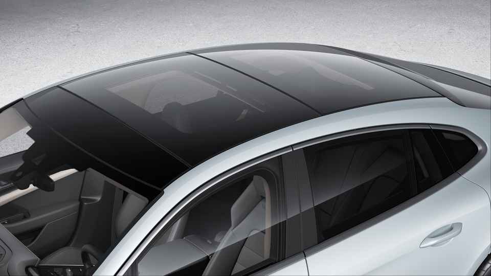 Panoramic roof system