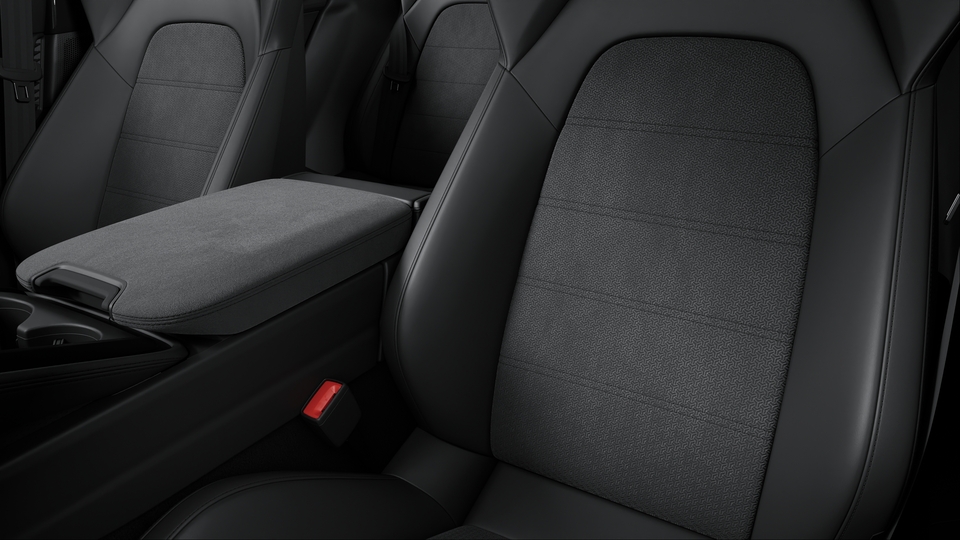 Race-Tex interior with extensive leather items in Black, smooth-finish leather