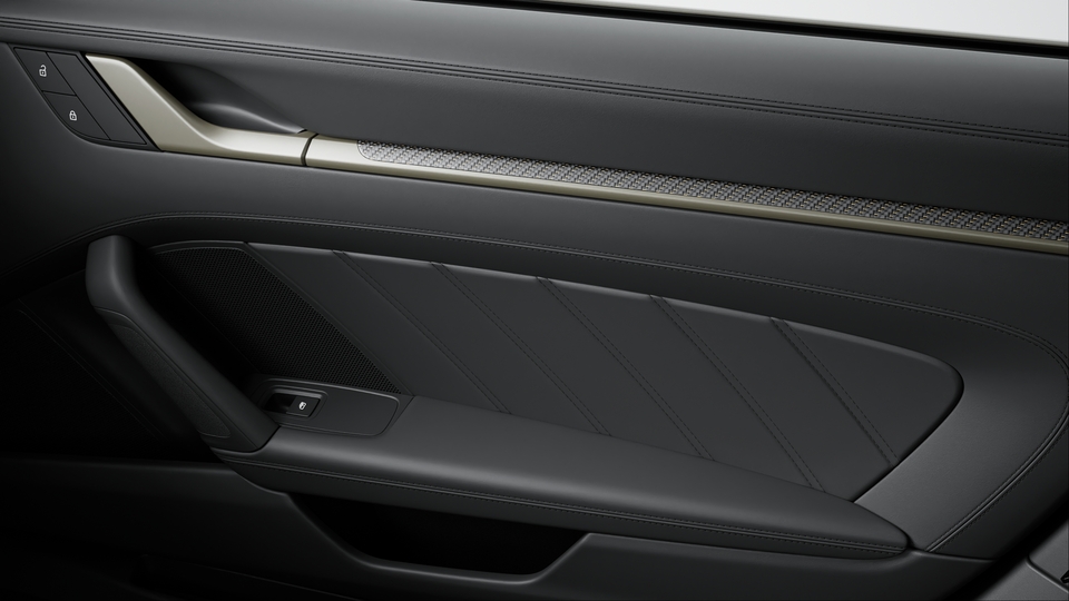 Matt carbon interior package with colour accent in Neodyme