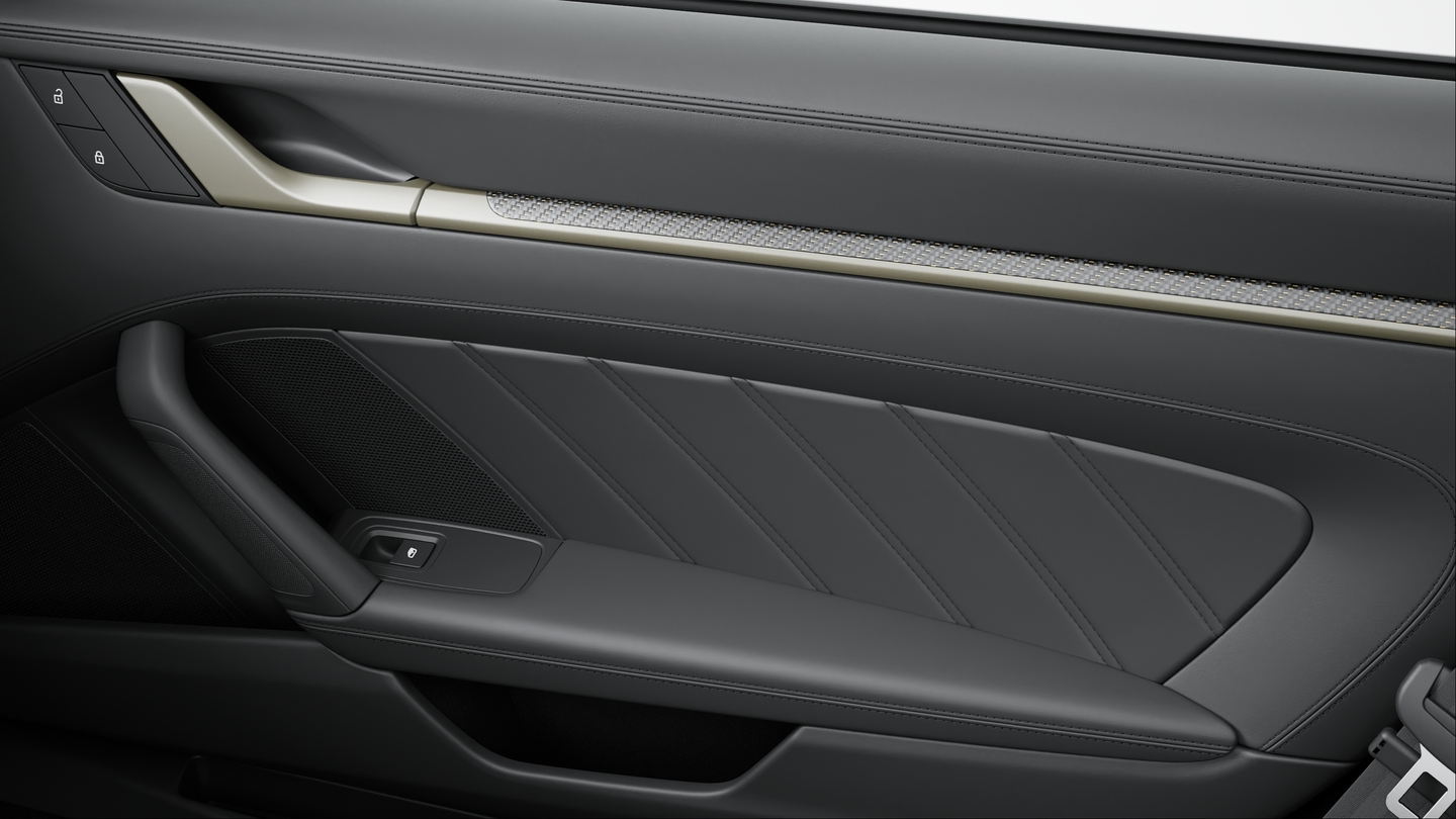 Matt carbon interior package with colour accent in Neodyme