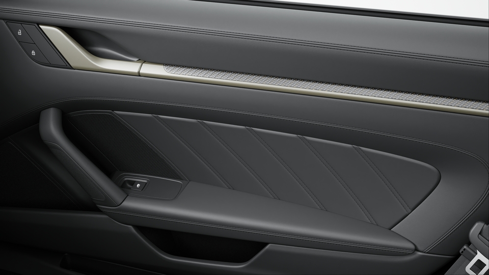 Matt carbon interior package with colour accent in Neodyme