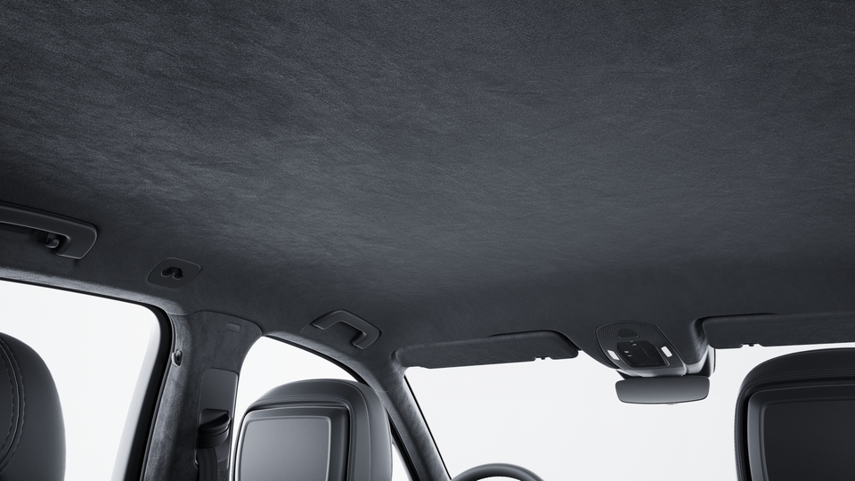 Roof lining in Race-Tex