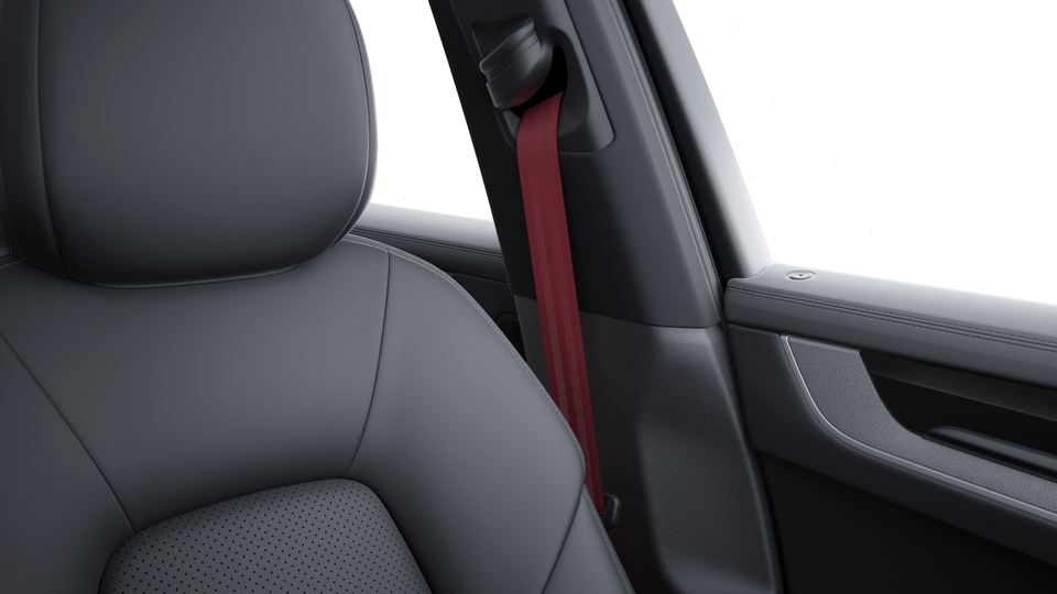 Seat belts Bordeaux Red