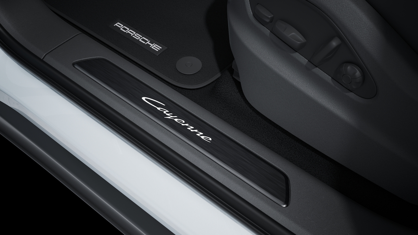 Door sill guards brushed aluminium in Black, illuminated
