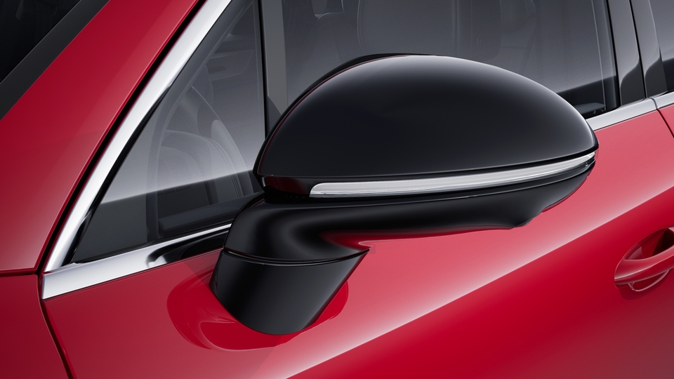 Exterior mirrors painted in Black (high-gloss)