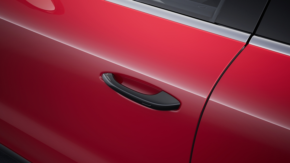 Door release levers painted in Black (high-gloss)