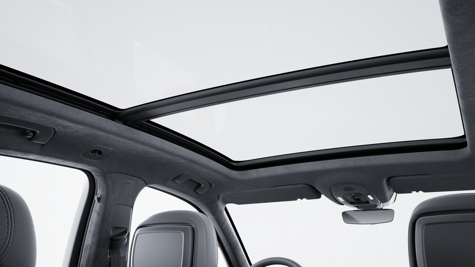 Roof lining in Race-Tex