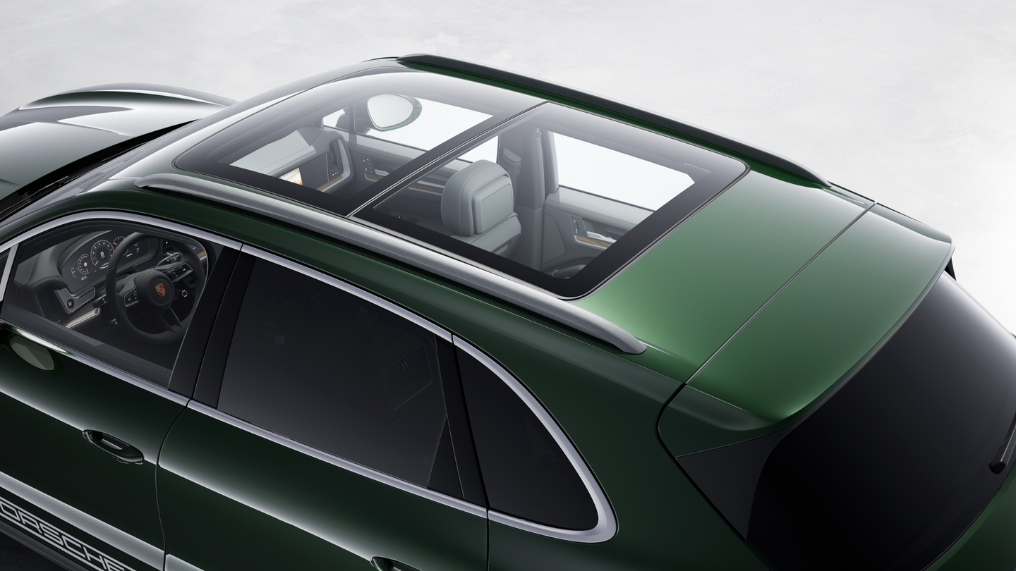 Panoramic roof system