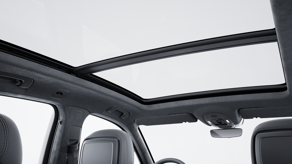 Roof lining in Race-Tex