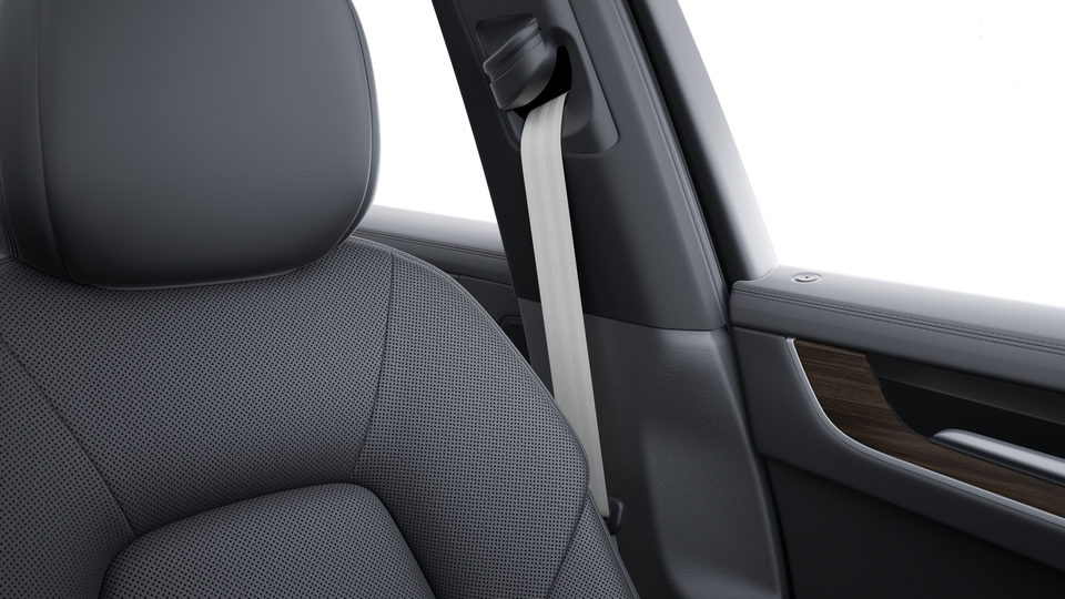 Seat belts Crayon