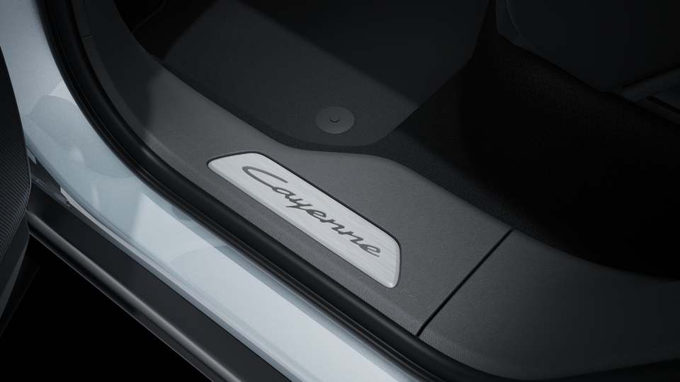 Door sill guards in aluminium with model designation