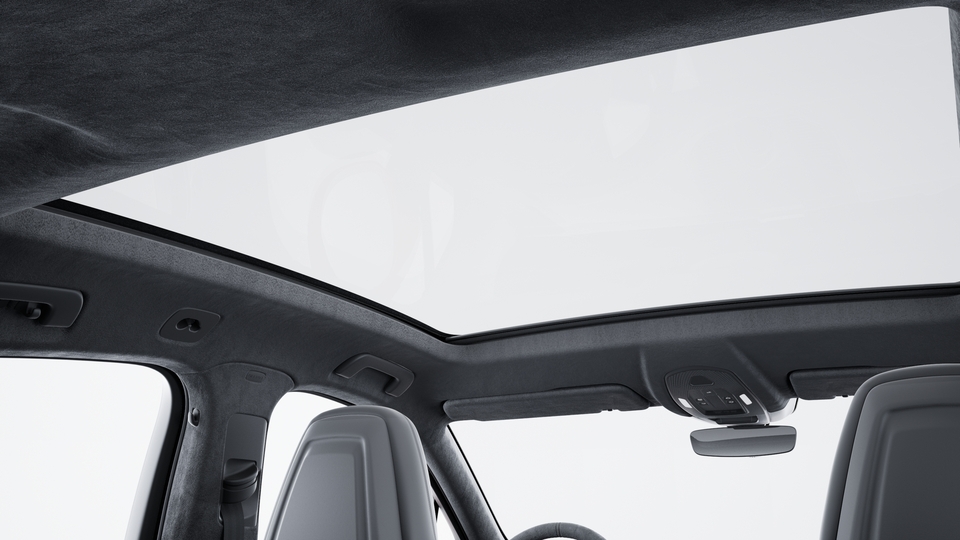 Roof lining in Race-Tex