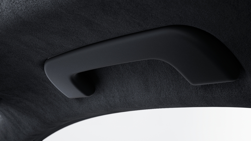 Roof lining in Race-Tex