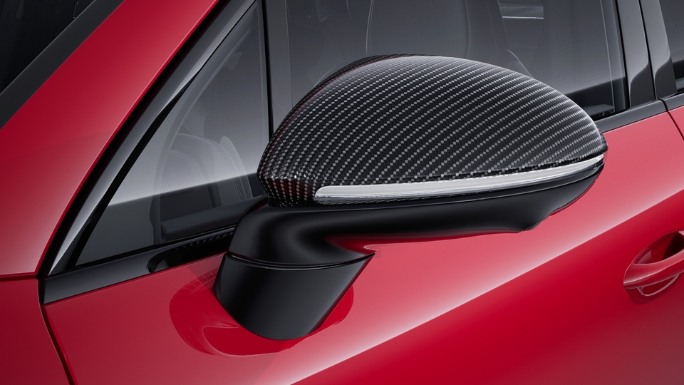 Premium Plus Sport Package in Carbon Fibre