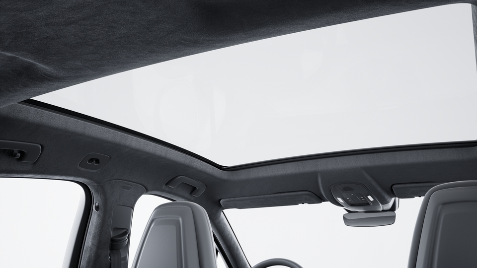 Roof lining in Race-Tex