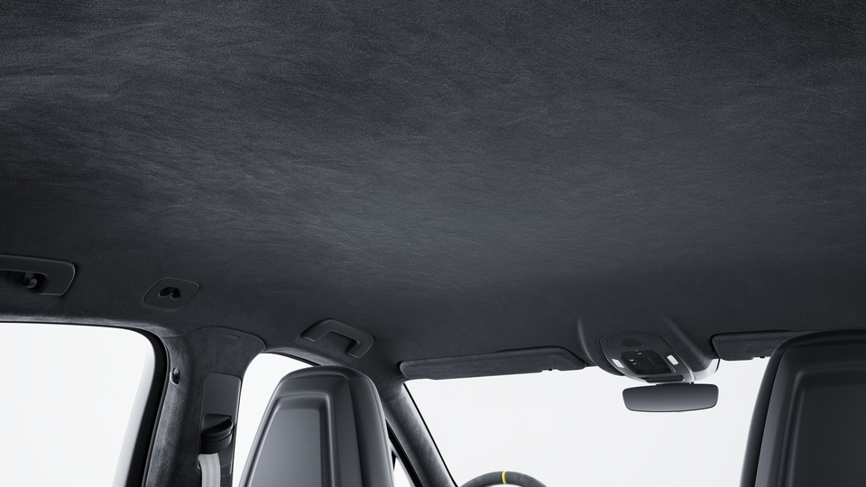 Roof lining in Race-Tex