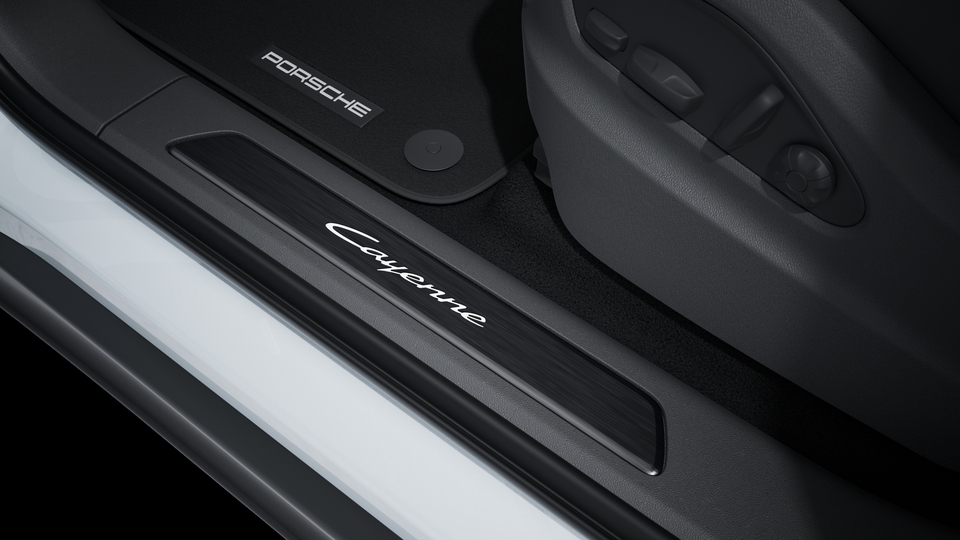 Door sill guards brushed aluminium in Black, illuminated