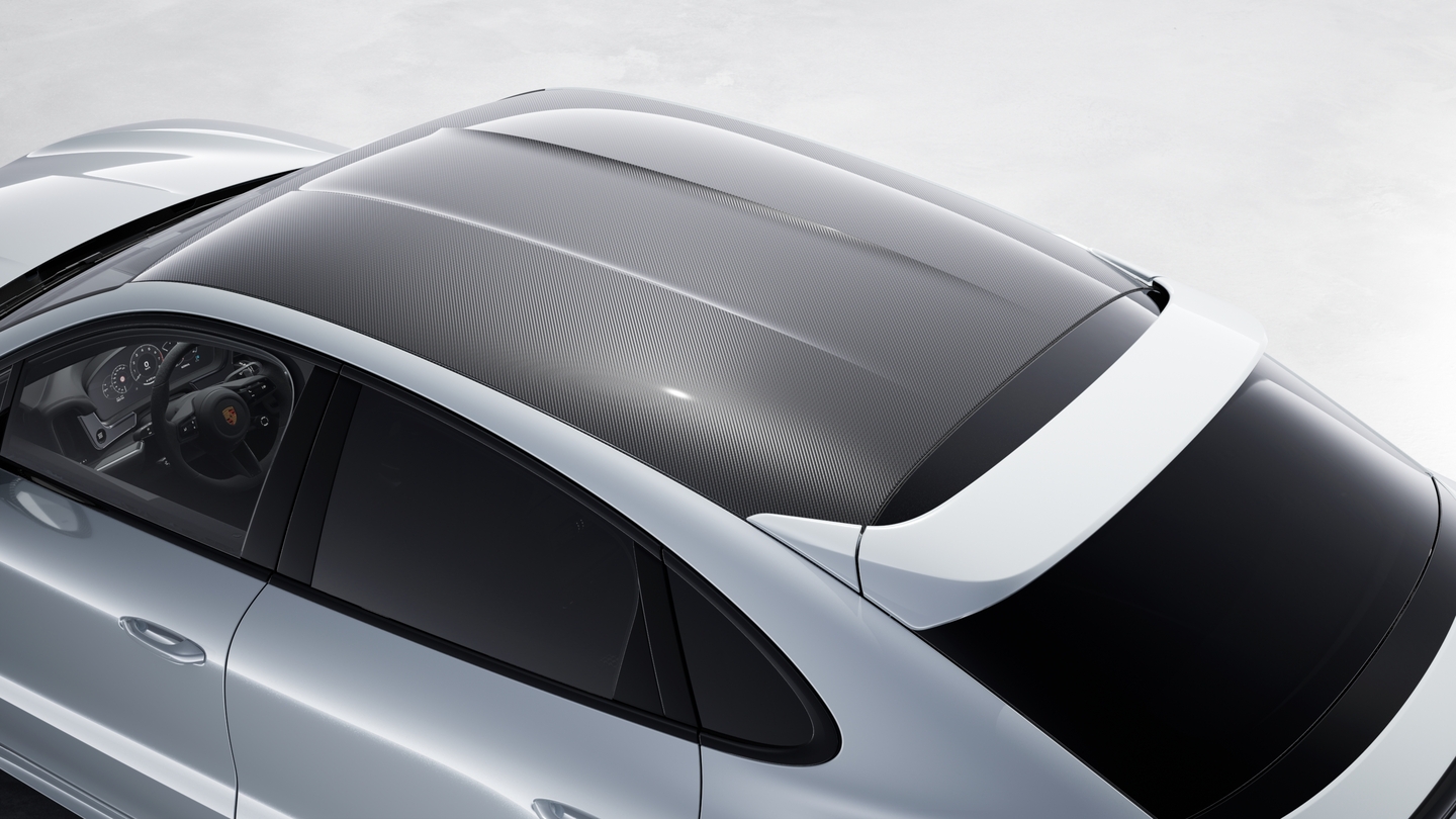 Lightweight Sport package carbon