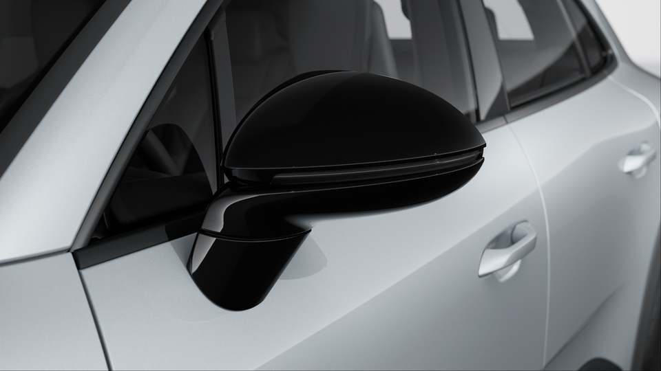 Exterior mirrors painted in Black (high-gloss)