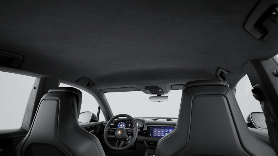 Roof lining in Race-Tex