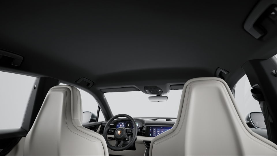 Seat Backrests Leather