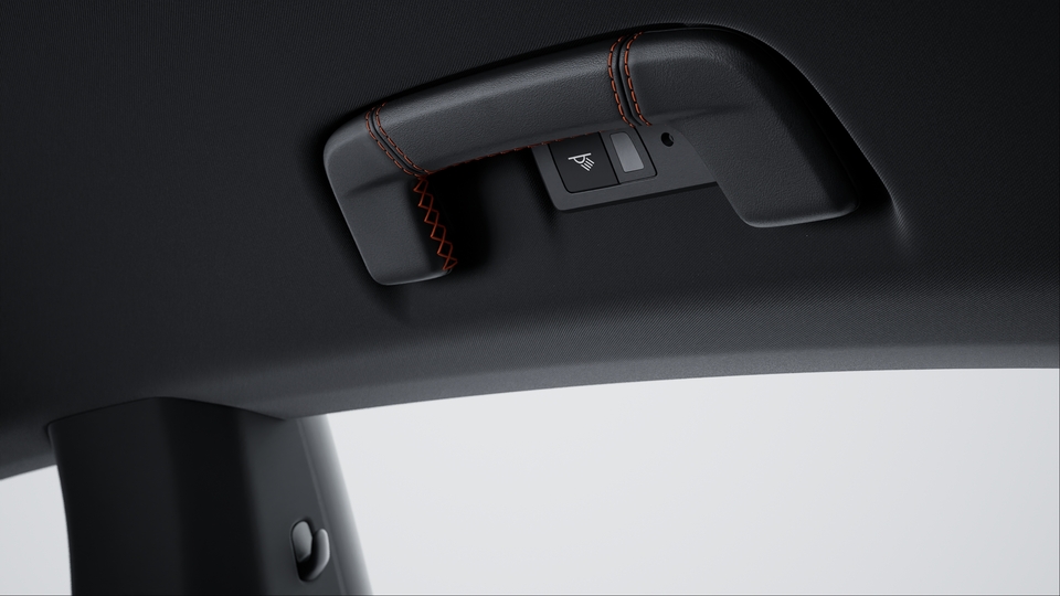 Roof lining grab rails leather with coloured decorative stitching | Bordeaux Red