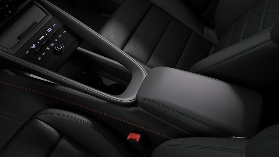 Frame center console leather with coloured decorative stitching | Bordeaux Red