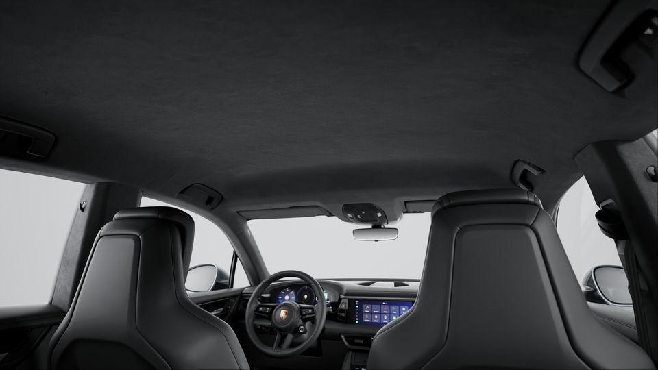 Roof lining in Race-Tex