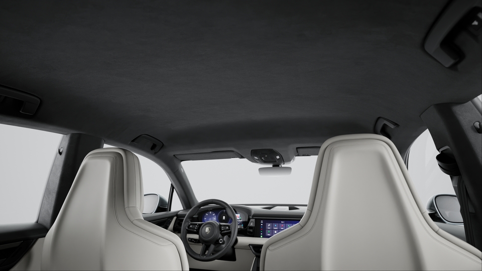 Seat Backrests Leather