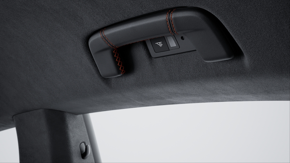 Roof lining grab rails leather with coloured decorative stitching