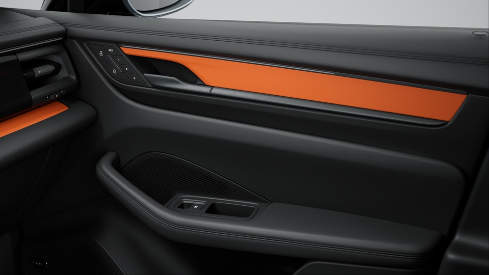Interior package leather in deviating leather colour
